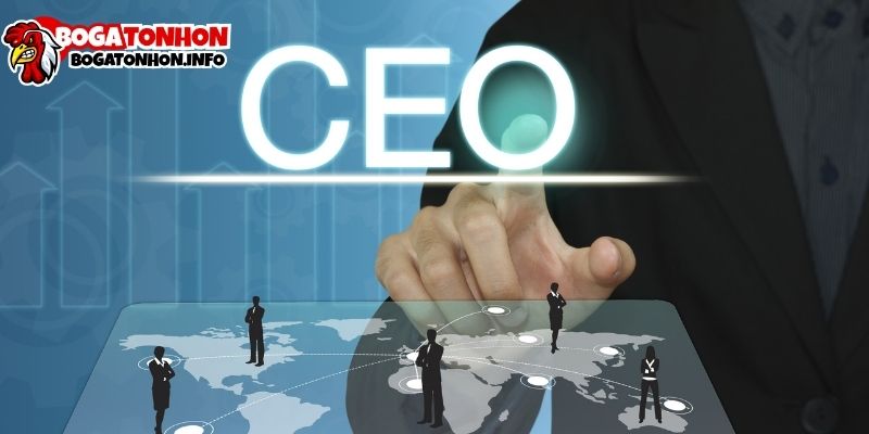Ceo Tùng Bo Gà