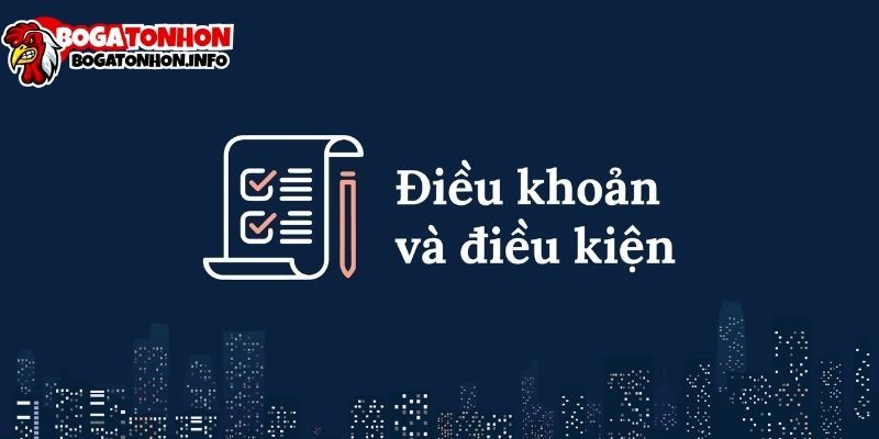 Điều Khoản Sử Dụng