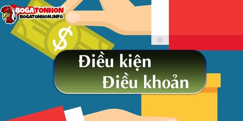 Điều Khoản Sử Dụng