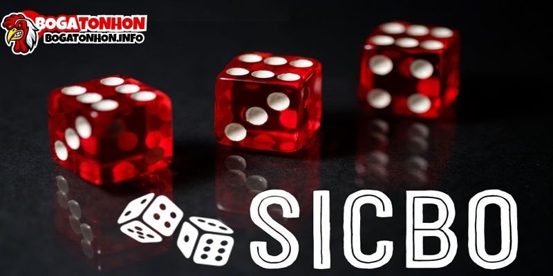 Sicbo Là Gì