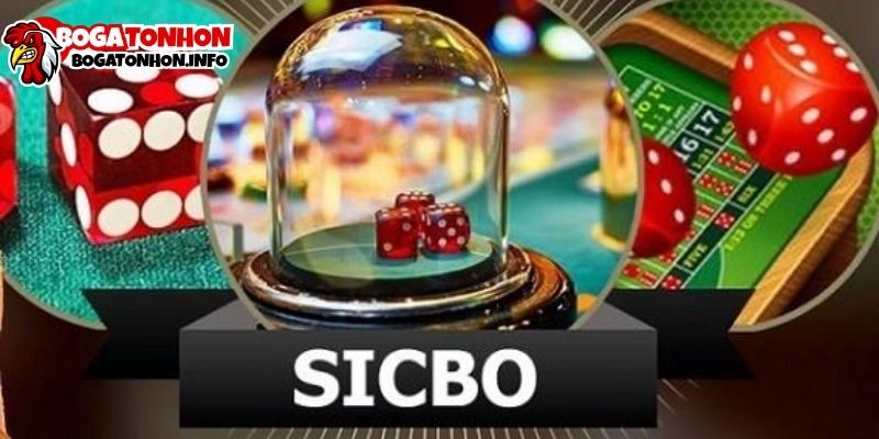Sicbo Là Gì