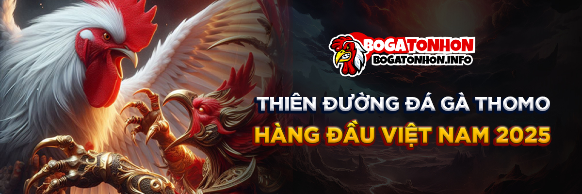 Thiên đường đá gà thomo bogatonhon hàng đầu tại việt nam